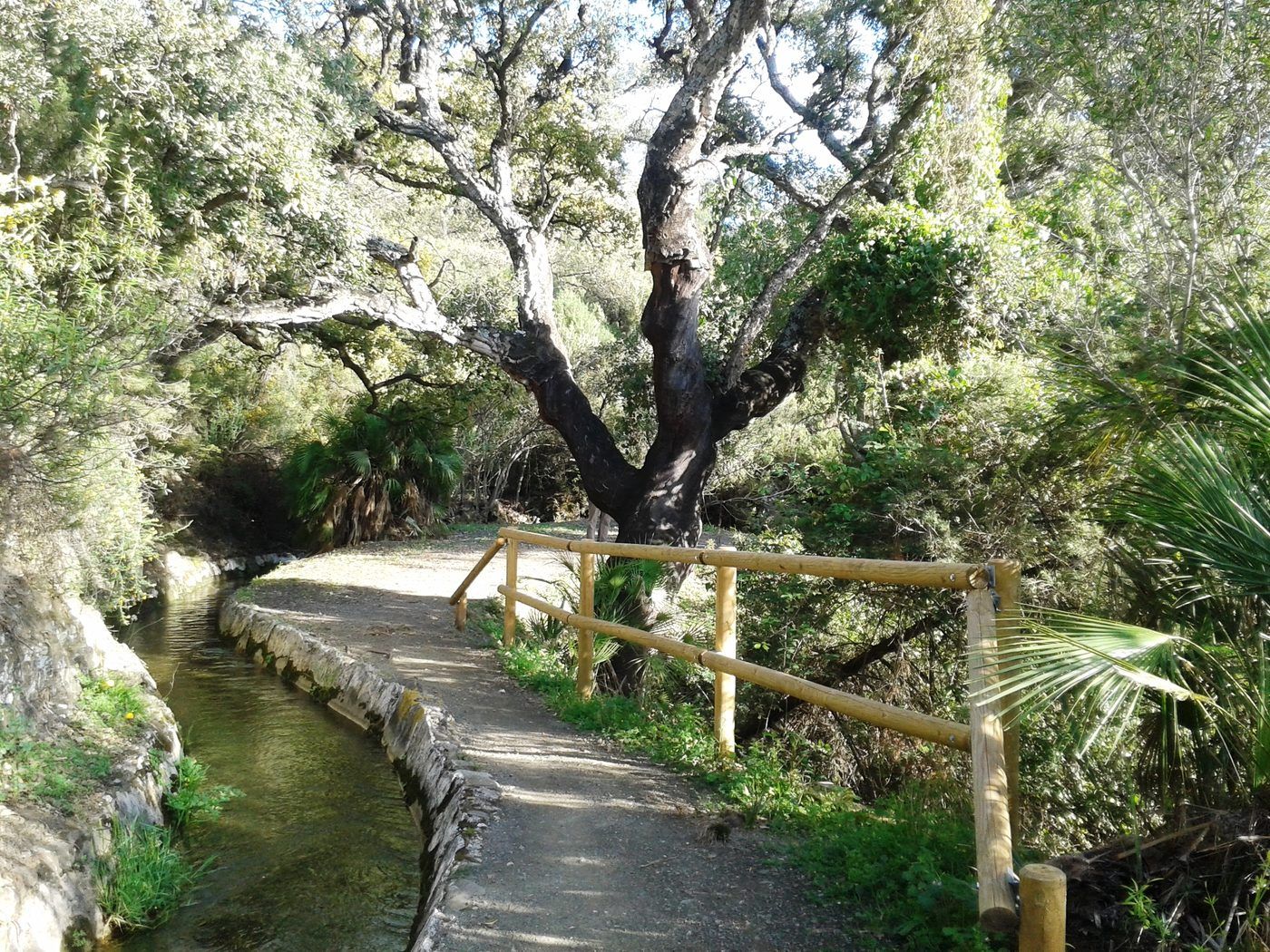 El río de Benahavís