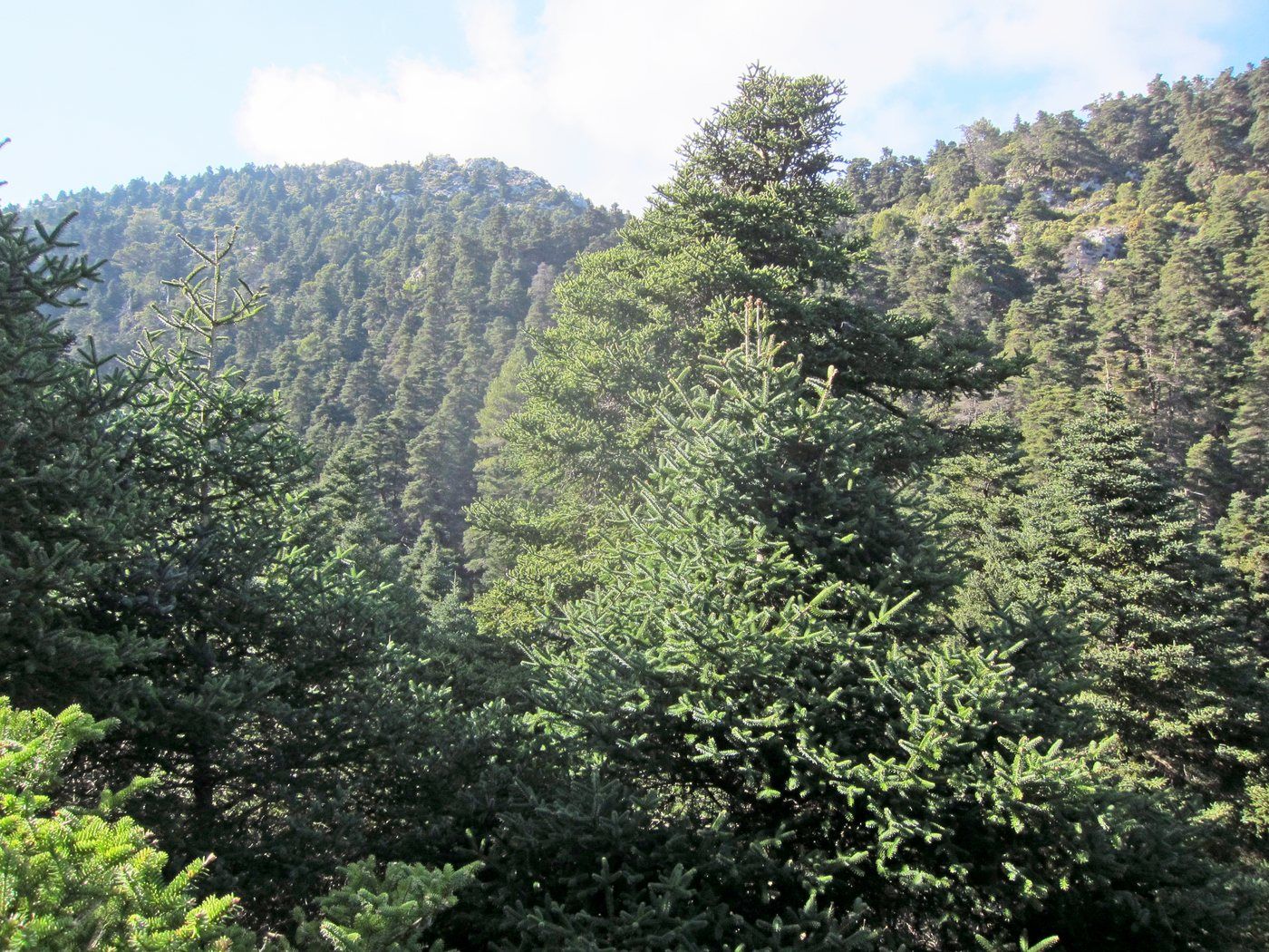 Juanar y los miradores de Sierra Blanca